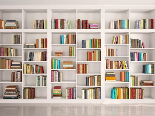 Bookshelf Assembly in Kenosha
